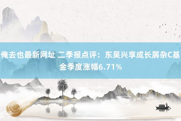 俺去也最新网址 二季报点评：东吴兴享成长羼杂C基金季度涨幅6.71%