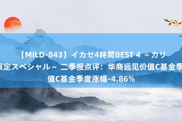 【MILD-843】イカセ4時間BEST 4 ～カリスマアイドル限定スペシャル～ 二季报点评：华商远见价值C基金季度涨幅-4.86%