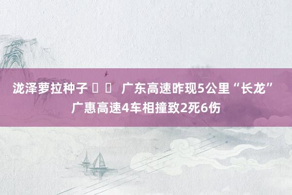 泷泽萝拉种子 		 广东高速昨现5公里“长龙” 广惠高速4车相撞致2死6伤