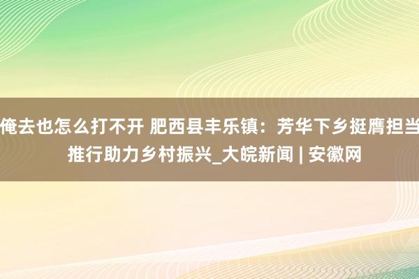 俺去也怎么打不开 肥西县丰乐镇：芳华下乡挺膺担当  推行助力乡村振兴_大皖新闻 | 安徽网