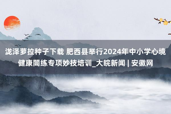 泷泽萝拉种子下载 肥西县举行2024年中小学心境健康闇练专项妙技培训_大皖新闻 | 安徽网