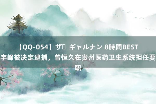 【QQ-054】ザ・ギャルナン 8時間BEST 宋宇峰被决定逮捕，曾恒久在贵州医药卫生系统担任要职