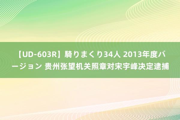 【UD-603R】騎りまくり34人 2013年度バージョン 贵州张望机关照章对宋宇峰决定逮捕