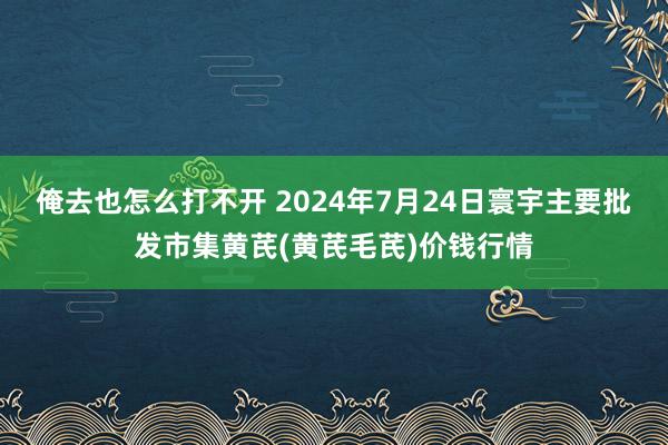 俺去也怎么打不开 2024年7月24日寰宇主要批发市集黄芪(黄芪毛芪)价钱行情