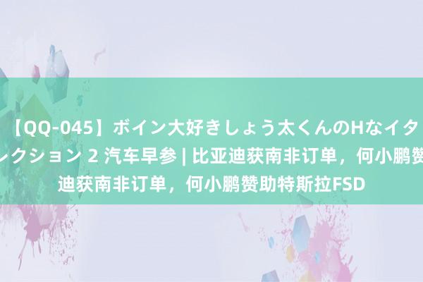 【QQ-045】ボイン大好きしょう太くんのHなイタズラ BESTセレクション 2 汽车早参 | 比亚迪获南非订单，何小鹏赞助特斯拉FSD