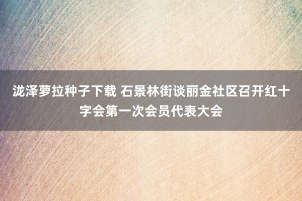 泷泽萝拉种子下载 石景林街谈丽金社区召开红十字会第一次会员代表大会