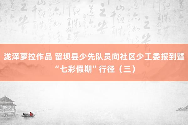 泷泽萝拉作品 留坝县少先队员向社区少工委报到暨“七彩假期”行径（三）