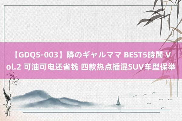 【GDQS-003】隣のギャルママ BEST5時間 Vol.2 可油可电还省钱 四款热点插混SUV车型保举