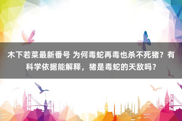 木下若菜最新番号 为何毒蛇再毒也杀不死猪？有科学依据能解释，猪是毒蛇的天敌吗？