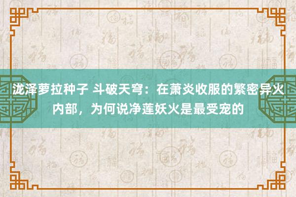 泷泽萝拉种子 斗破天穹：在萧炎收服的繁密异火内部，为何说净莲妖火是最受宠的