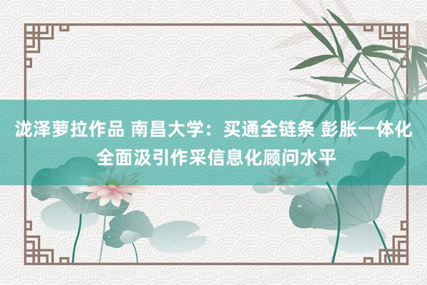 泷泽萝拉作品 南昌大学：买通全链条 彭胀一体化 全面汲引作采信息化顾问水平