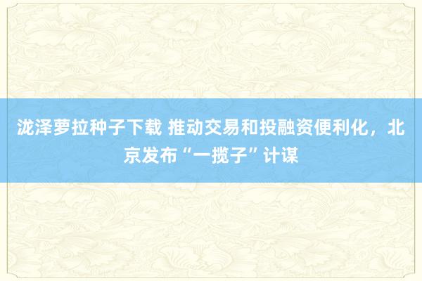 泷泽萝拉种子下载 推动交易和投融资便利化，北京发布“一揽子”计谋