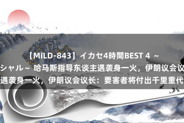 【MILD-843】イカセ4時間BEST 4 ～カリスマアイドル限定スペシャル～ 哈马斯指导东谈主遇袭身一火，伊朗议会议长：要害者将付出千里重代价