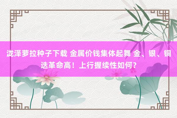 泷泽萝拉种子下载 金属价钱集体起舞 金、银、铜迭革命高！上行握续性如何？