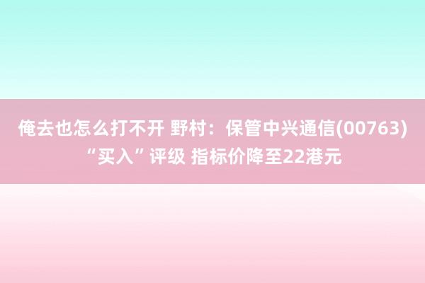 俺去也怎么打不开 野村：保管中兴通信(00763)“买入”评级 指标价降至22港元