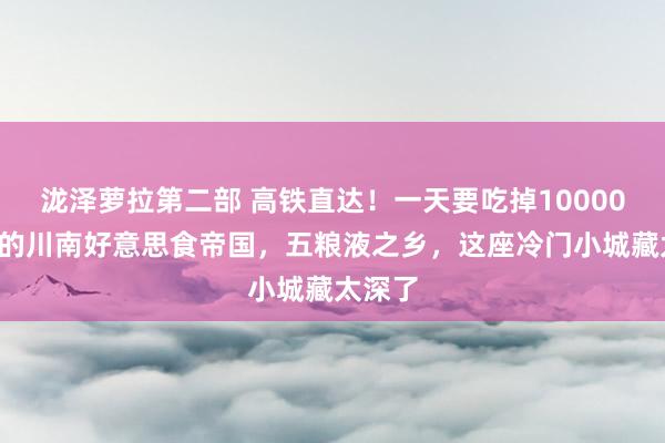 泷泽萝拉第二部 高铁直达！一天要吃掉100000碗面的川南好意思食帝国，五粮液之乡，这座冷门小城藏太深了