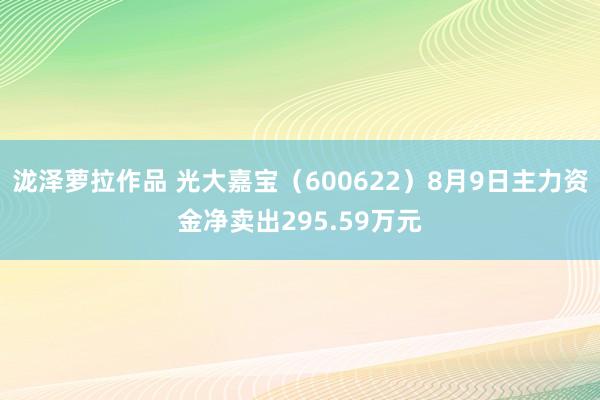 泷泽萝拉作品 光大嘉宝（600622）8月9日主力资金净卖出295.59万元