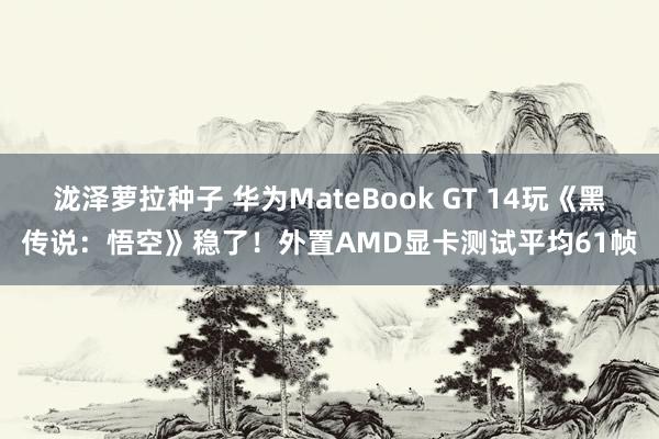 泷泽萝拉种子 华为MateBook GT 14玩《黑传说：悟空》稳了！外置AMD显卡测试平均61帧