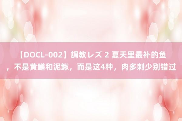 【DOCL-002】調教レズ 2 夏天里最补的鱼，不是黄鳝和泥鳅，而是这4种，肉多刺少别错过