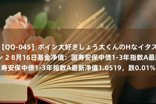 【QQ-045】ボイン大好きしょう太くんのHなイタズラ BESTセレクション 2 8月16日基金净值：国寿安保中债1-3年指数A最新净值1.0519，跌0.01%