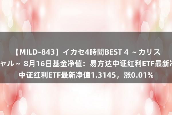 【MILD-843】イカセ4時間BEST 4 ～カリスマアイドル限定スペシャル～ 8月16日基金净值：易方达中证红利ETF最新净值1.3145，涨0.01%