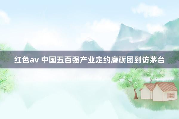 红色av 中国五百强产业定约磨砺团到访茅台