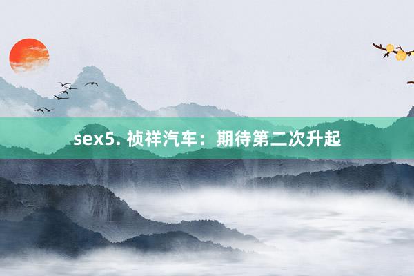 sex5. 祯祥汽车：期待第二次升起