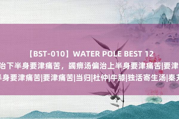 【BST-010】WATER POLE BEST 12GALs 8時間 独活寄生汤偏治下半身要津痛苦，蠲痹汤偏治上半身要津痛苦|要津痛苦|当归|杜仲|牛膝|独活寄生汤|秦艽|蠲痹汤