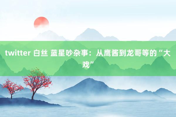 twitter 白丝 蓝星吵杂事：从鹰酱到龙哥等的“大戏”