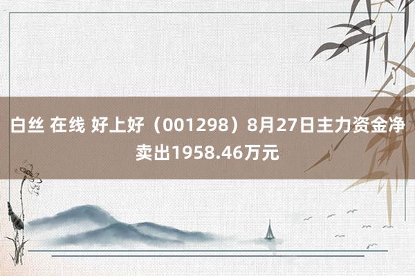 白丝 在线 好上好（001298）8月27日主力资金净卖出1958.46万元