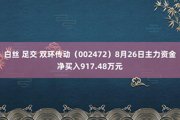 白丝 足交 双环传动（002472）8月26日主力资金净买入917.48万元