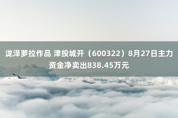 泷泽萝拉作品 津投城开（600322）8月27日主力资金净卖出838.45万元