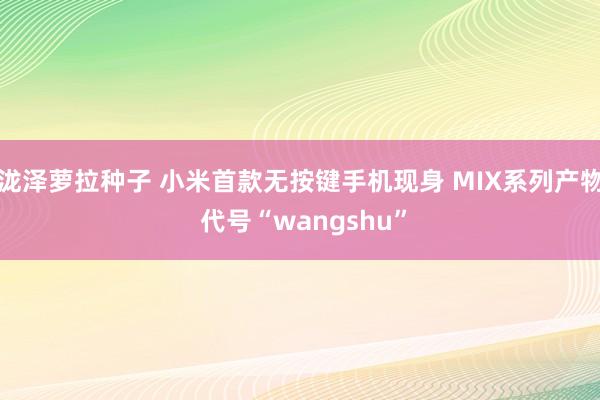 泷泽萝拉种子 小米首款无按键手机现身 MIX系列产物 代号“wangshu”