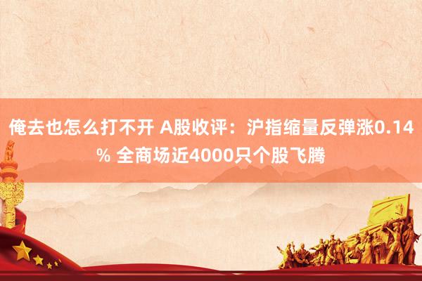 俺去也怎么打不开 A股收评：沪指缩量反弹涨0.14% 全商场近4000只个股飞腾