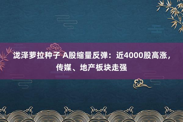 泷泽萝拉种子 A股缩量反弹：近4000股高涨，传媒、地产板块走强