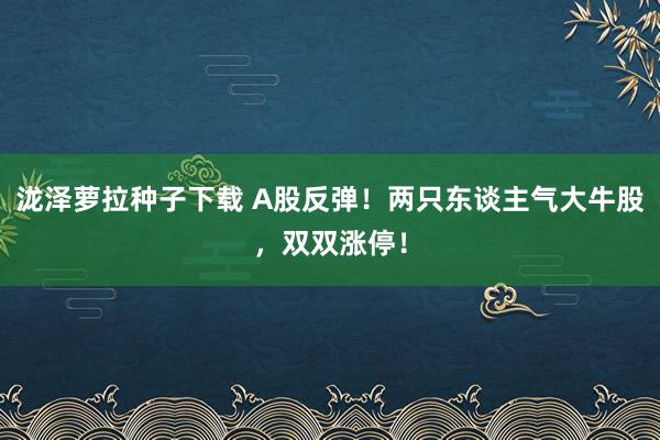 泷泽萝拉种子下载 A股反弹！两只东谈主气大牛股，双双涨停！