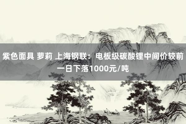 紫色面具 萝莉 上海钢联：电板级碳酸锂中间价较前一日下落1000元/吨