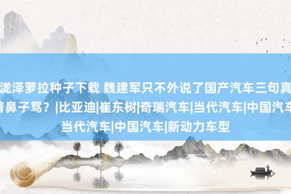 泷泽萝拉种子下载 魏建军只不外说了国产汽车三句真话，就被指着鼻子骂？|比亚迪|崔东树|奇瑞汽车|当代汽车|中国汽车|新动力车型