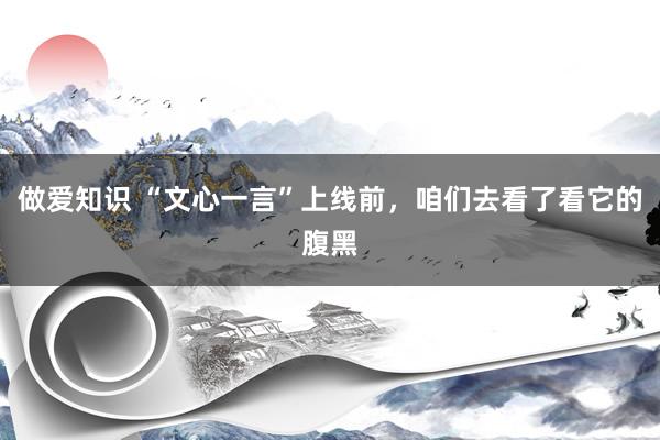 做爱知识 “文心一言”上线前，咱们去看了看它的腹黑