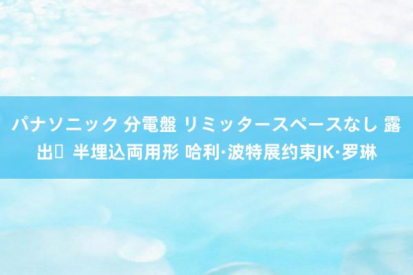 パナソニック 分電盤 リミッタースペースなし 露出・半埋込両用形 哈利·波特展约束JK·罗琳