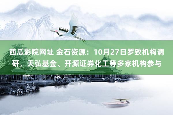 西瓜影院网址 金石资源：10月27日罗致机构调研，天弘基金、开源证券化工等多家机构参与