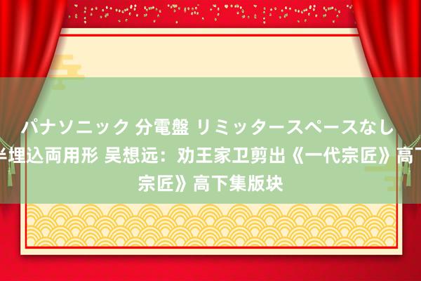 パナソニック 分電盤 リミッタースペースなし 露出・半埋込両用形 吴想远：劝王家卫剪出《一代宗匠》高下集版块