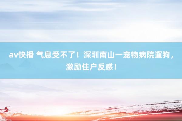 av快播 气息受不了！深圳南山一宠物病院遛狗，激励住户反感！