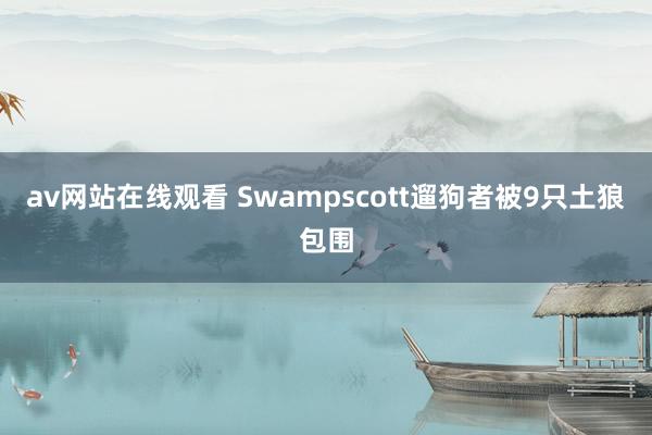 av网站在线观看 Swampscott遛狗者被9只土狼包围