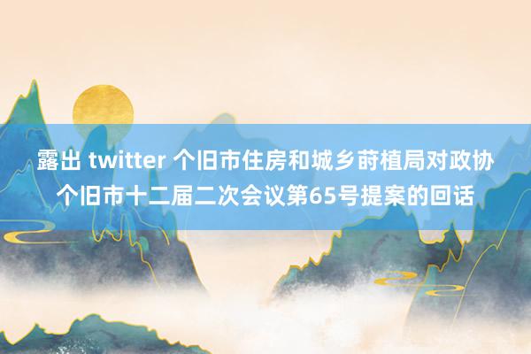 露出 twitter 个旧市住房和城乡莳植局对政协个旧市十二届二次会议第65号提案的回话